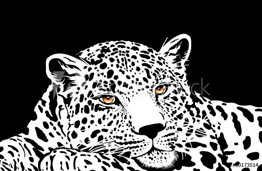 Picture of leopard with gold eyes